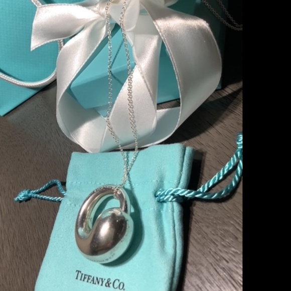 Tiffany & Co Elsa Peretti Large Eternal Circle Pendant with T & Co. 925 Chain - Picture 2 of 11